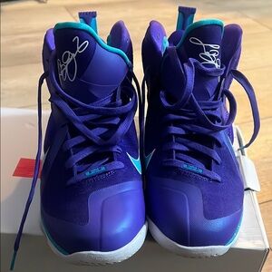 Nike LeBron 9
Summit Lake Hornets SIZE 10
Normal Wear Worn Once, Great Condition